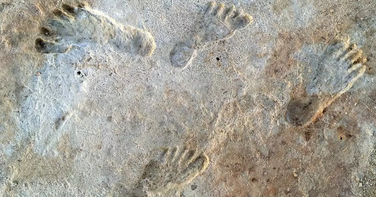 震撼考古界！白沙國家公園現2萬年前人類足跡  改寫人類移居美洲時間