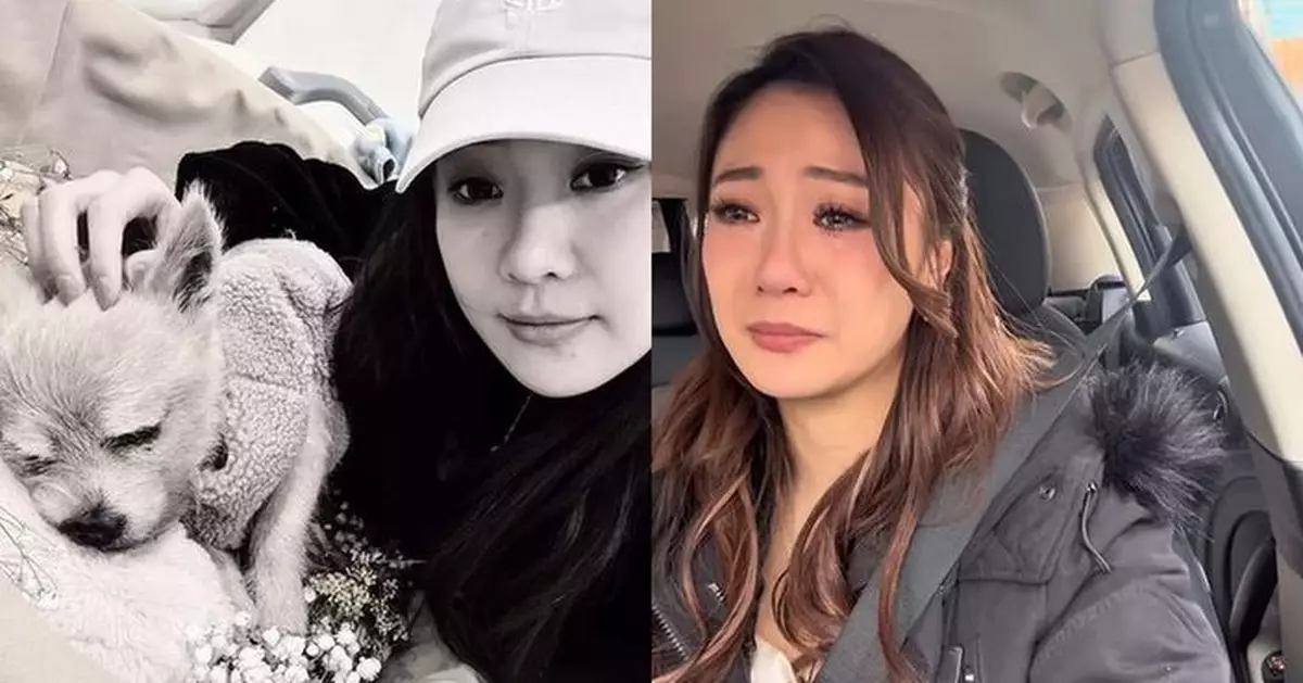 朱智賢走出愛犬離世陰霾 含淚拍片承諾繼續帶歡樂給粉絲