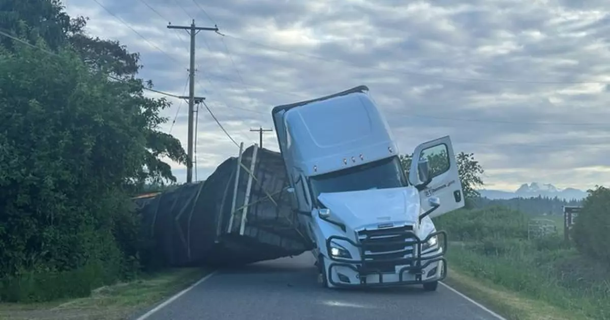 貨車翻側2.5億隻蜜蜂四處亂竄 美華盛頓州公路被逼關閉48小時