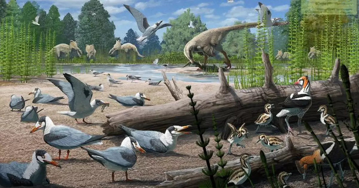 阿拉斯加發現數十鳥化石 證7300萬年前北極築巢與恐龍共享天地