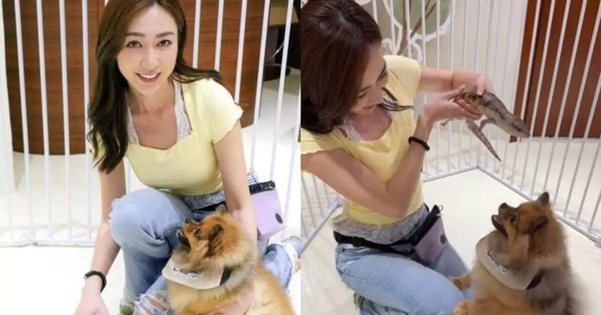 黃嘉雯帶愛犬上「跨物種社交課」 首抱蜥蜴驚喜連連