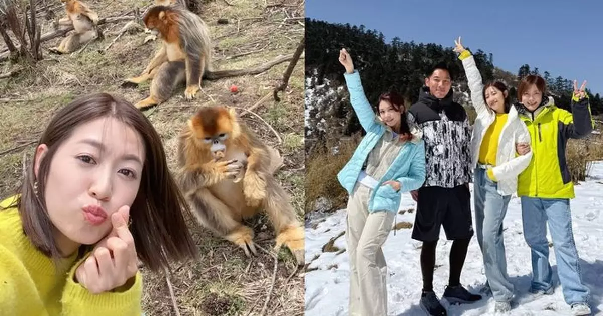 陳自瑤大開眼界神農架親睹金絲猴家族 雪山絕壁蜂箱奇景震撼