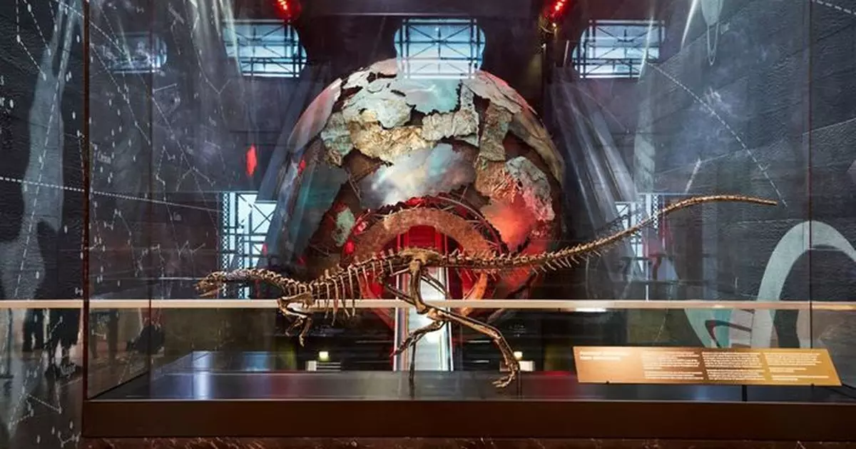 新研究曝光新種超小恐龍 體型如拉布拉多後肢又長又大 獲稱「謎樣奔跑者」