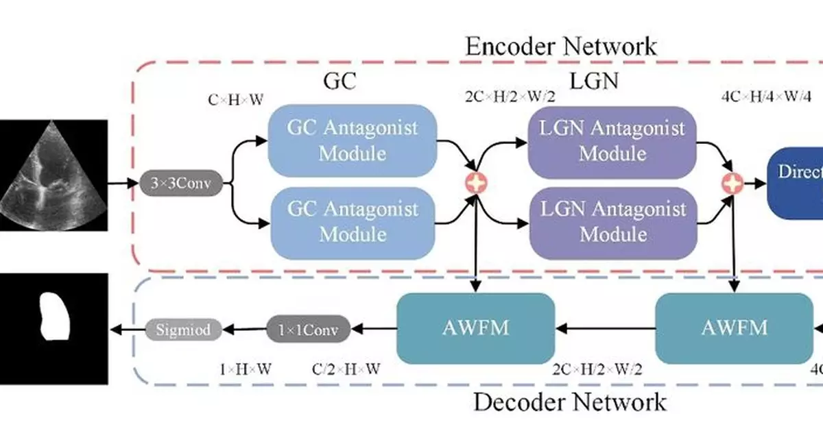 澳門理工大學研究團隊開發人工智能模型助力智慧醫療臨床應用發展