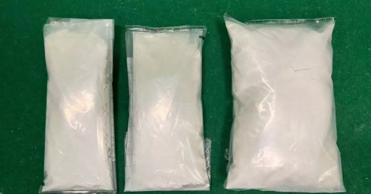 行李藏約250萬元可卡因　21歲南非抵港男子被捕