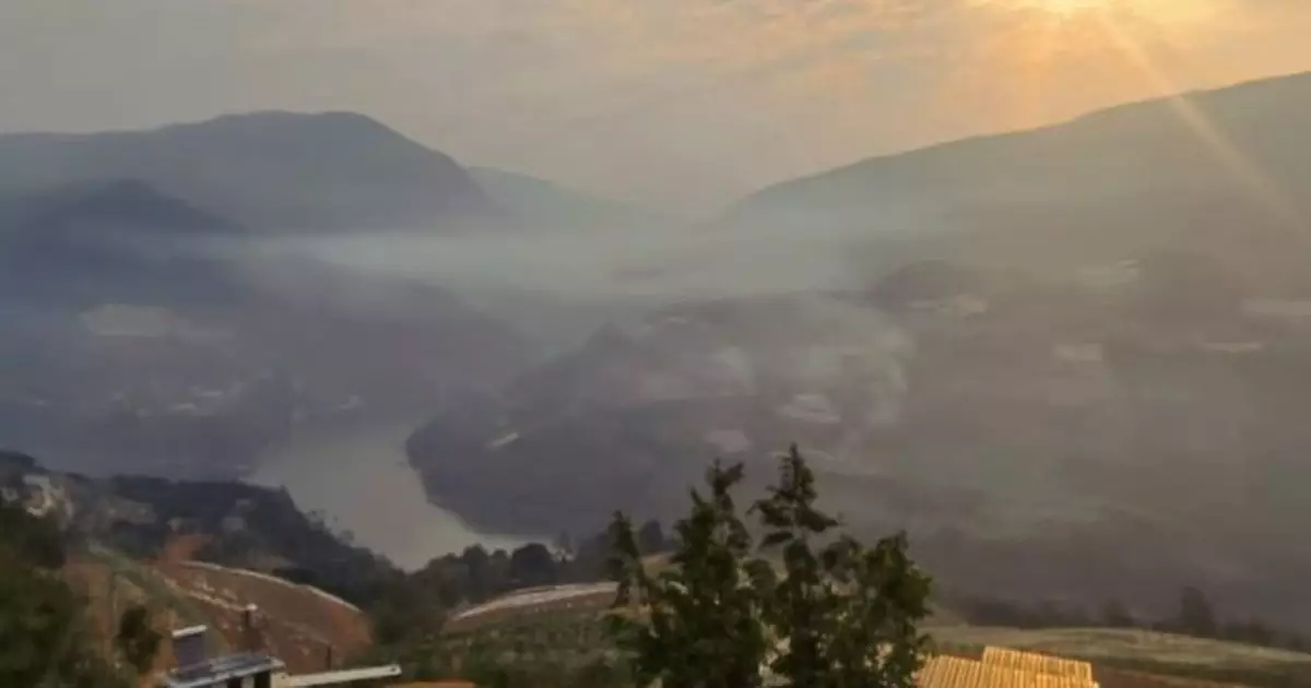 雲南咖啡逐步打進國際市場客戶包括香港　貿易戰下訂單增加