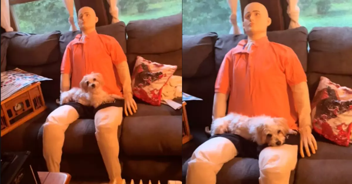 愛犬患嚴重「分離焦慮症」 飼主用充氣公仔自製「假室友」成功安撫