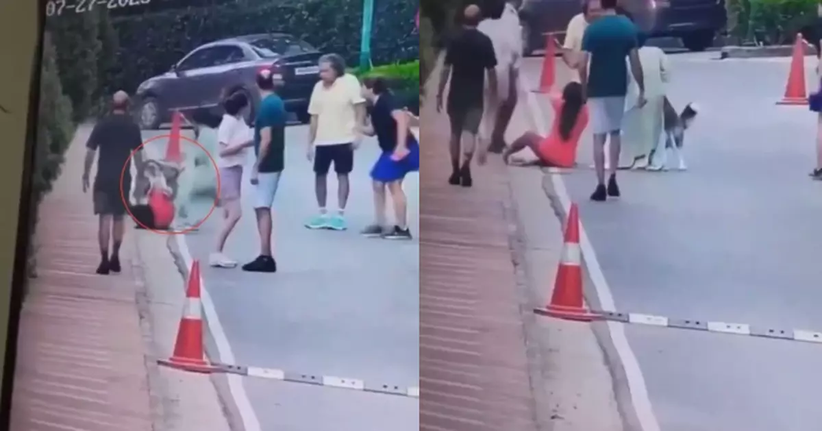 社區散步遇襲 印度女遭家養哈士奇犬撲倒狠咬手部15秒痛苦慘叫