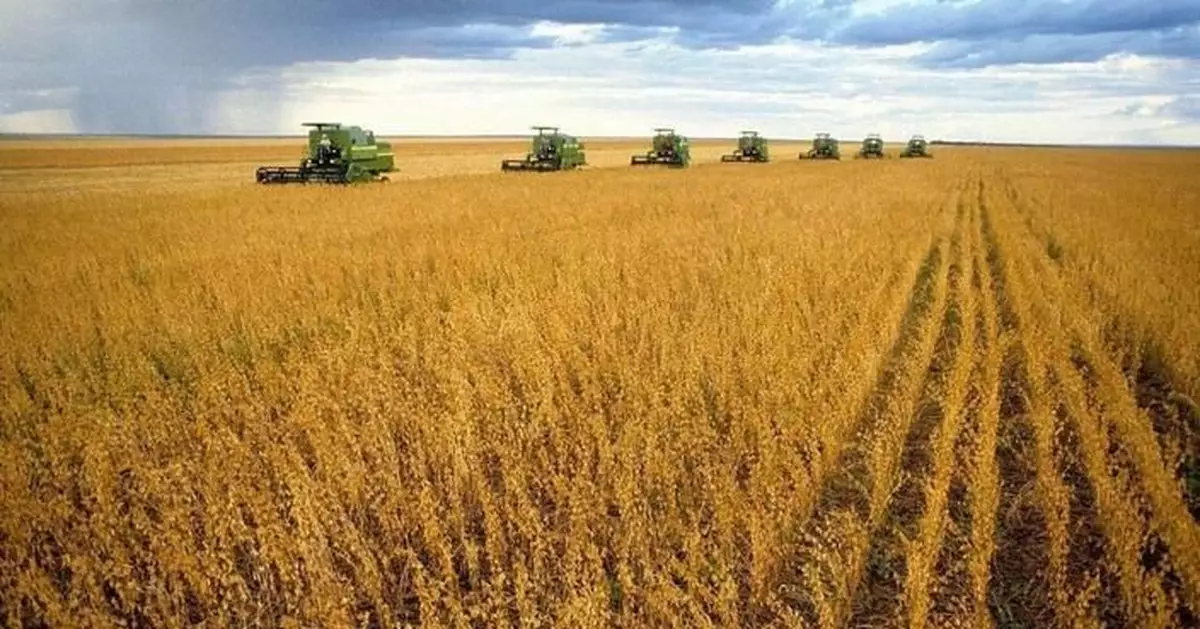 國家農業農村部等發布方案擴大農產品消費 釋出拓消費擴內需信號