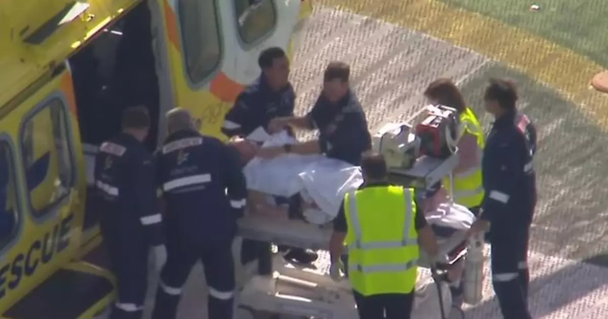 澳洲動物園發生獅子咬人事件 據報一名女遊客手臂被咬斷