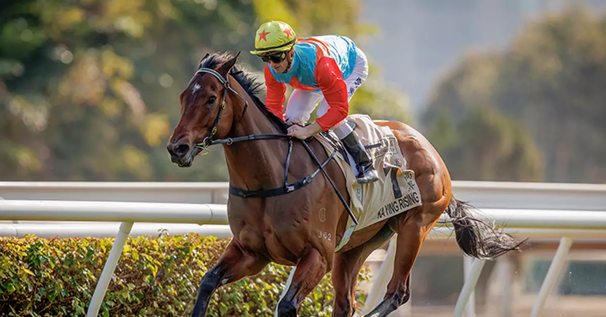「嘉應高昇」榮膺香港馬王兼最佳短途馬