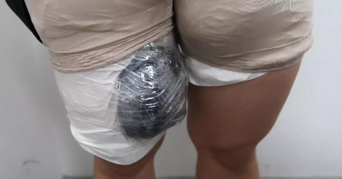 43歲女子將4隻受管制活龜綁大腿圖走私到內地 被判入獄兩個月