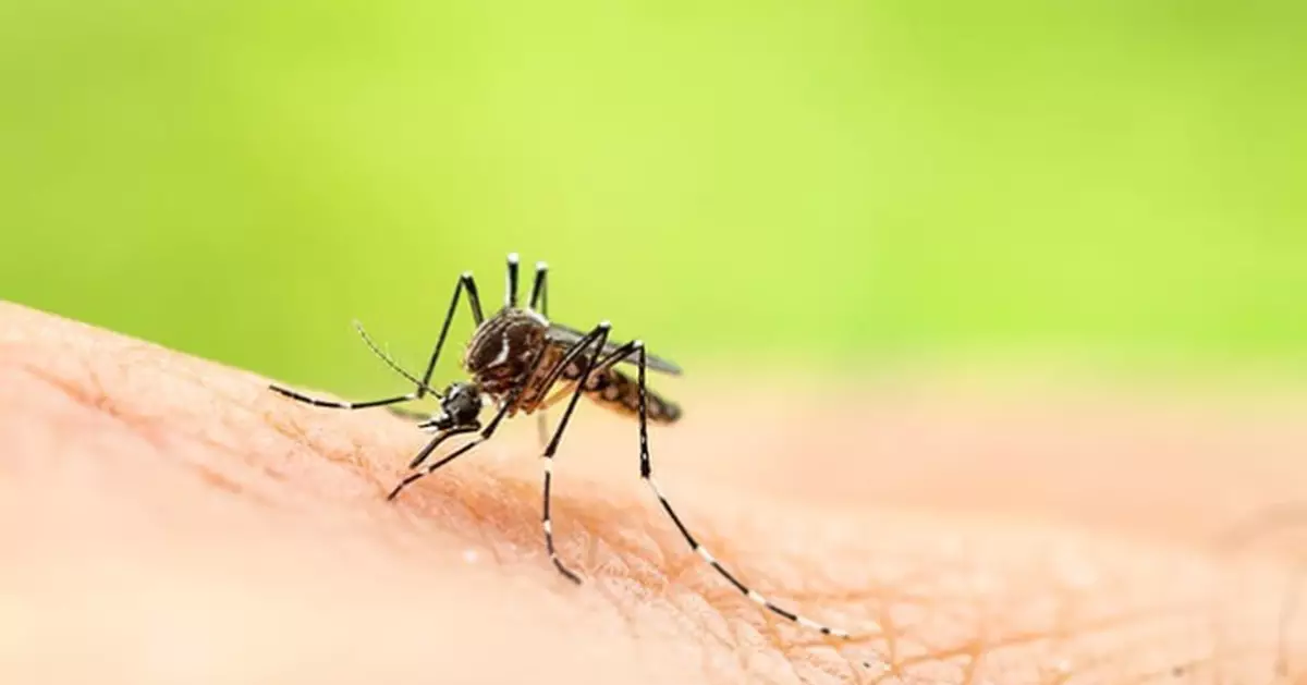 6月全港白紋伊蚊誘蚊器指數屬二級水平　分布廣泛