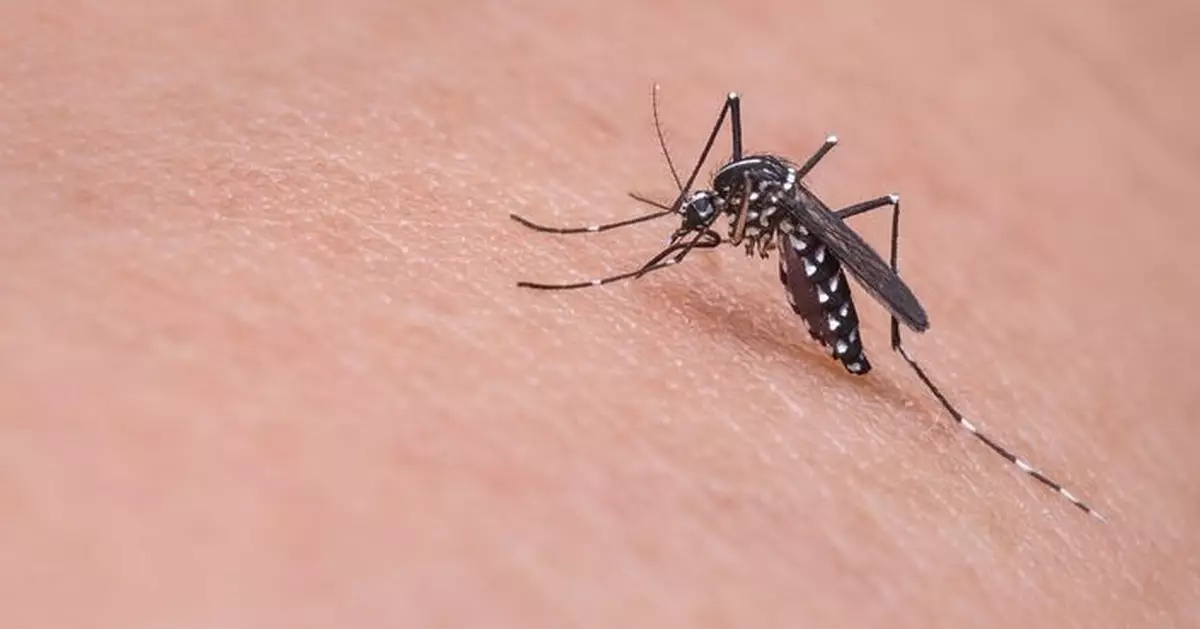 澳門首宗輸入性基孔肯雅熱病例　61歲男患者曾往佛山順德