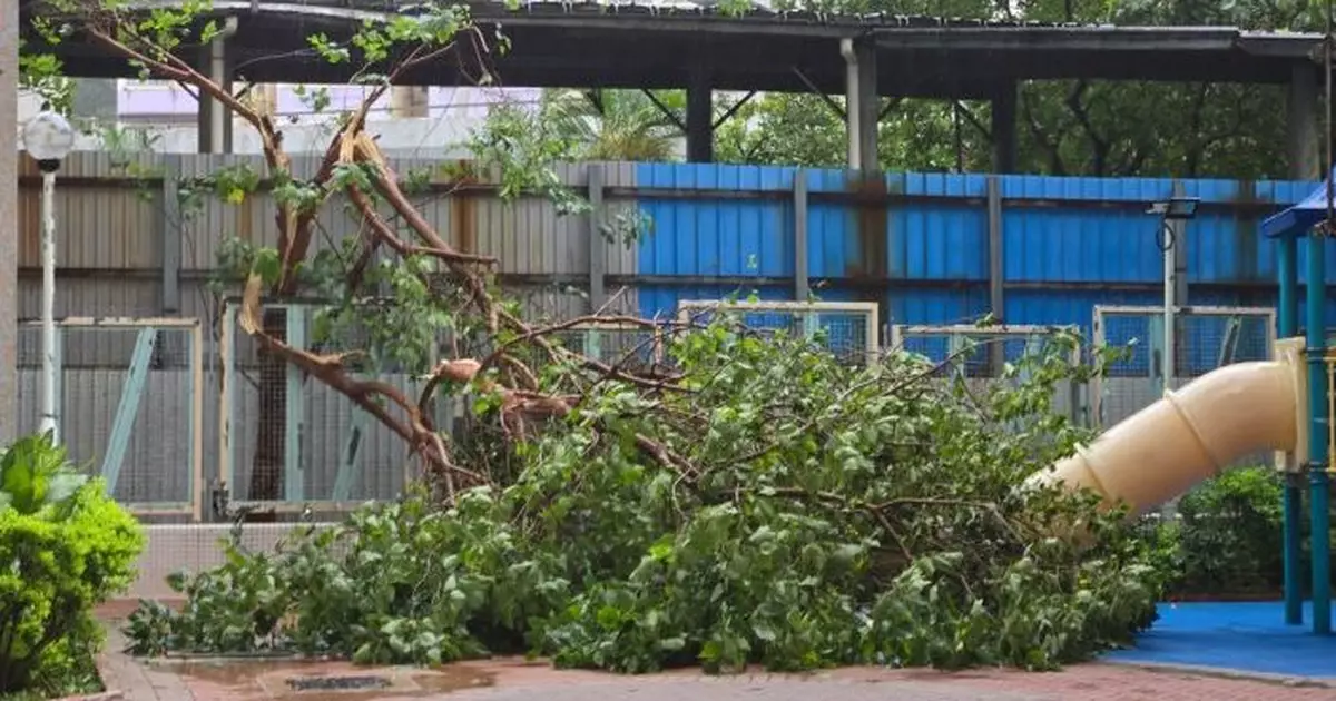 截至晚上8時   101名市民風暴期間受傷及1224宗榻樹報告
