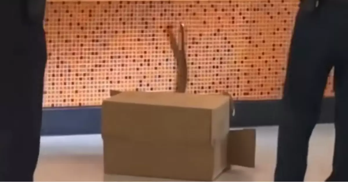 港鐵啟德站現蛇蹤 1.5米長水律蛇被蛇王捕捉後放生　