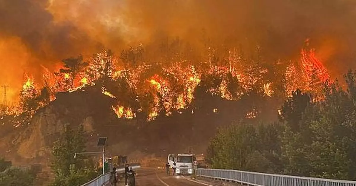 土耳其西北部發生山火 10人撲火時喪生另多人留醫