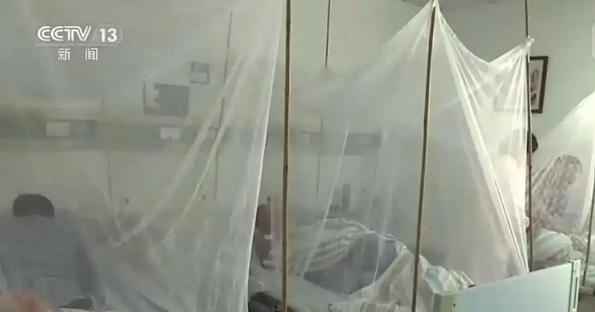 基孔肯雅熱｜佛山疫情進入低水平散發狀態　轉為常態化防控