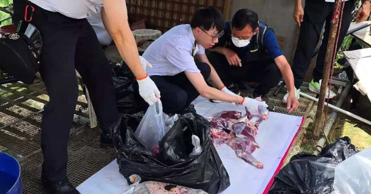 食環署聯同警方 文錦渡搗破非法屠羊活動拘一人