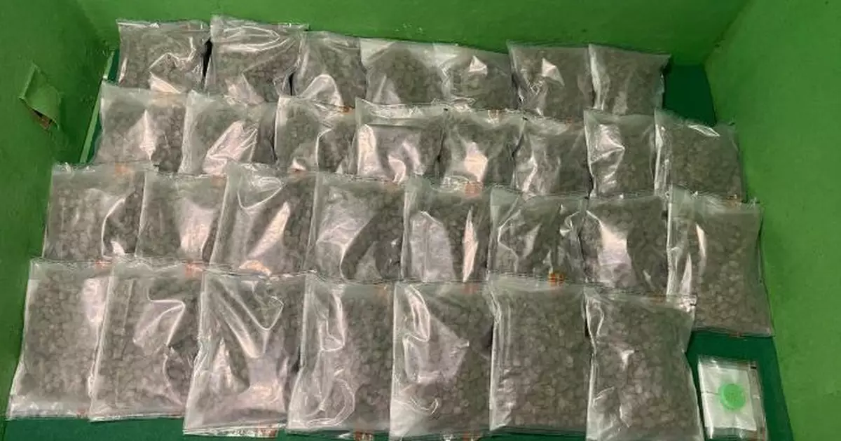 曼谷及吉隆坡抵港男女旅客涉販運大麻花及海洛英被捕　星期二提堂