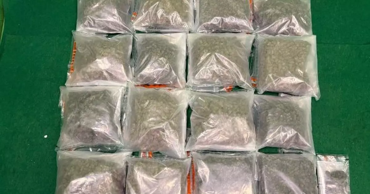 機場拘6名男女涉偷運約值880萬元大麻花入境被捕