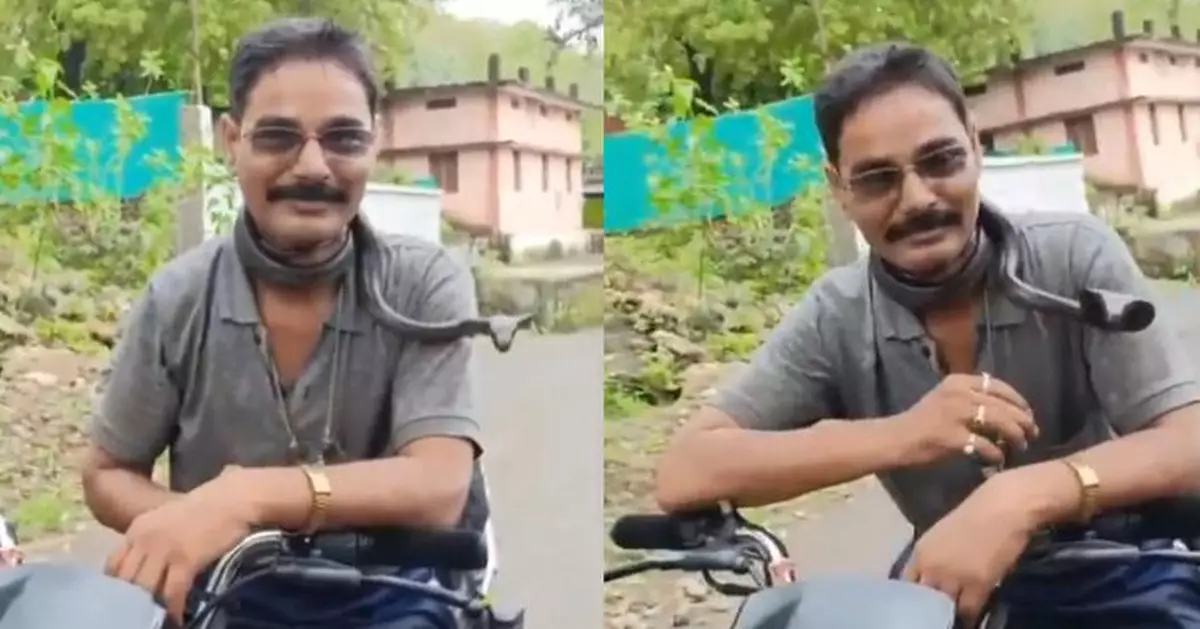 心急接仔仔放學 印度捕蛇義工將毒蛇掛頸騎車上路遭咬身亡