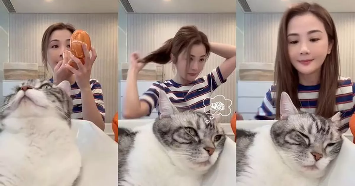 蔡卓妍晒與愛寵日常 貓貓乖乖陪化妝冧爆主人