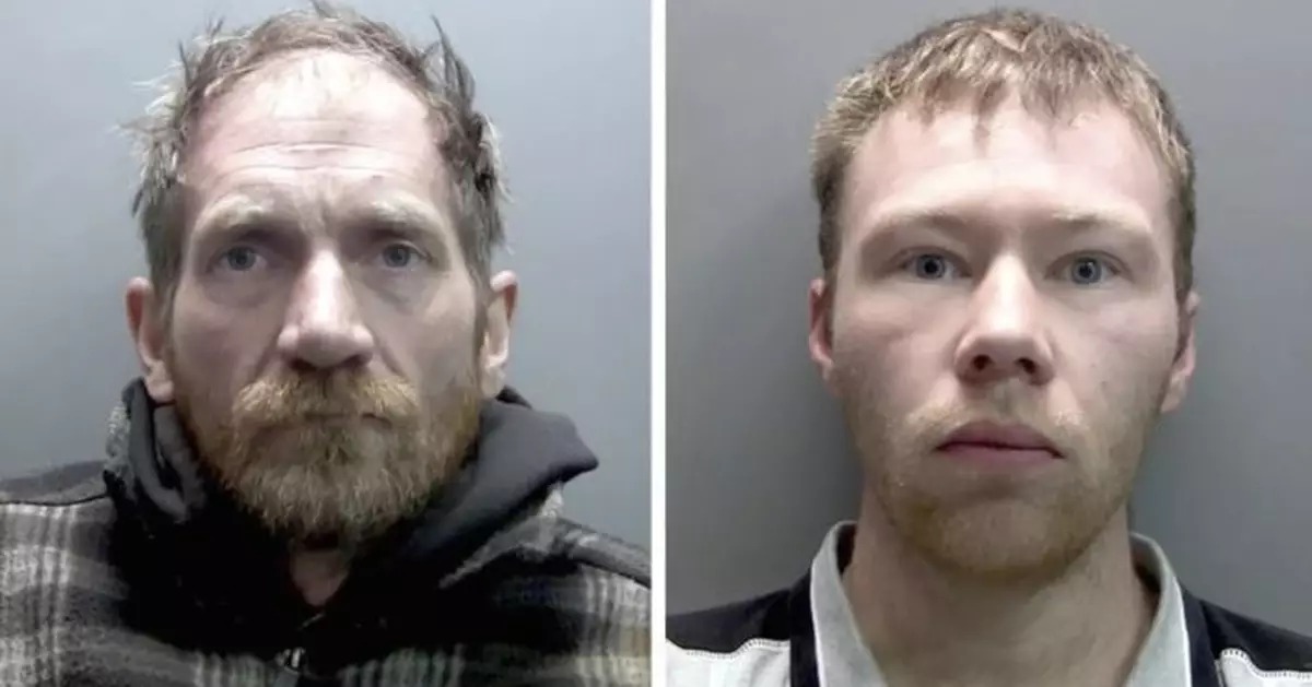 《俠盜羅賓漢》名樹遭腰斬！2英男偷伐名樹判監4年