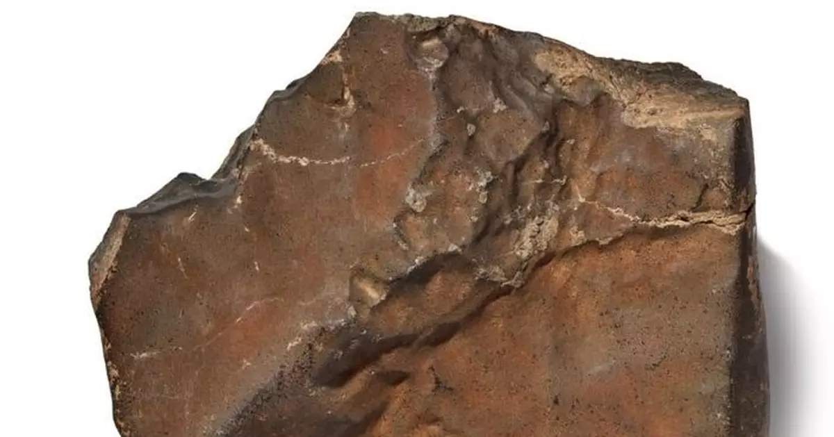 重24公斤最大火星隕石即將拍賣 估價高達逾3000萬