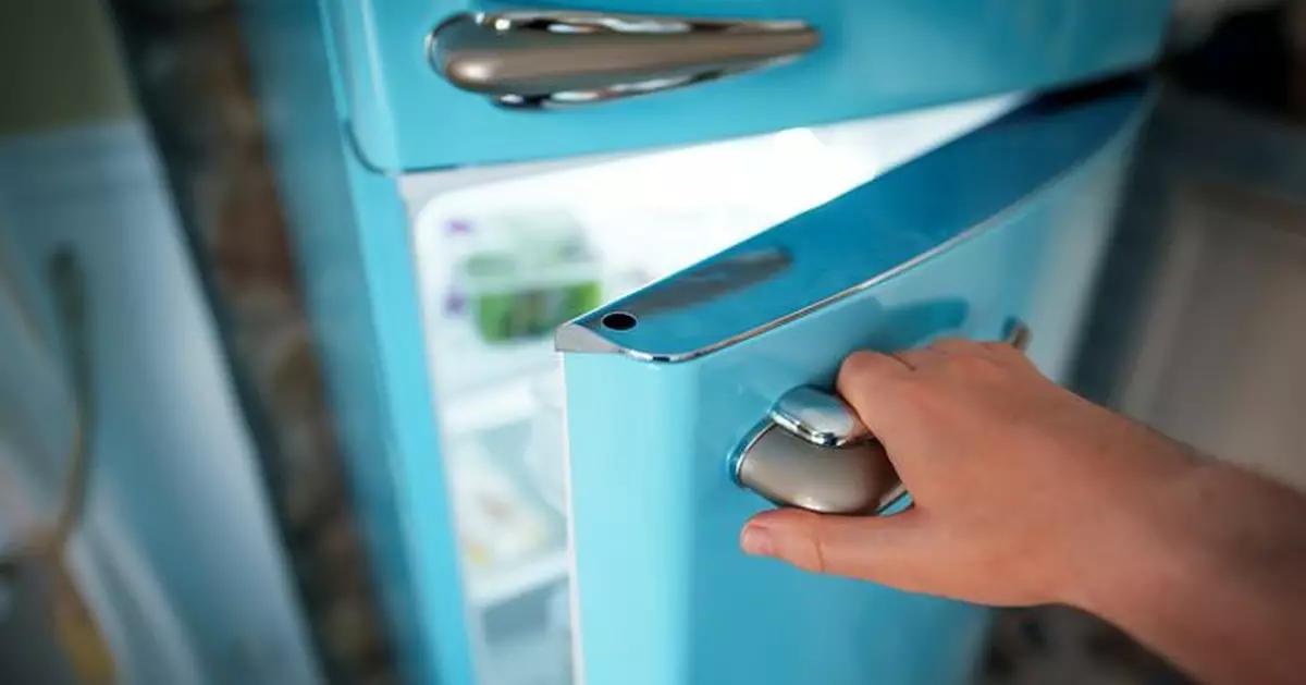 大容量雪櫃更慳電！日媒揭冷藏節電關鍵反轉迷思