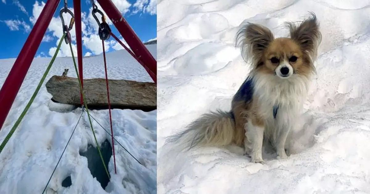 瑞士男冰川健行墮入8米深裂縫 隨行愛犬堅守原地救他一命