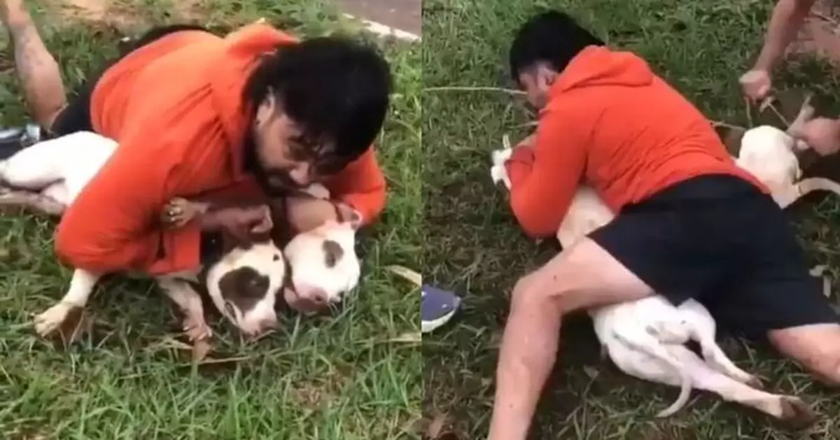 遭2兇狠比特犬攻擊 泰拳教練街頭苦戰5分鐘驚險死裡逃生