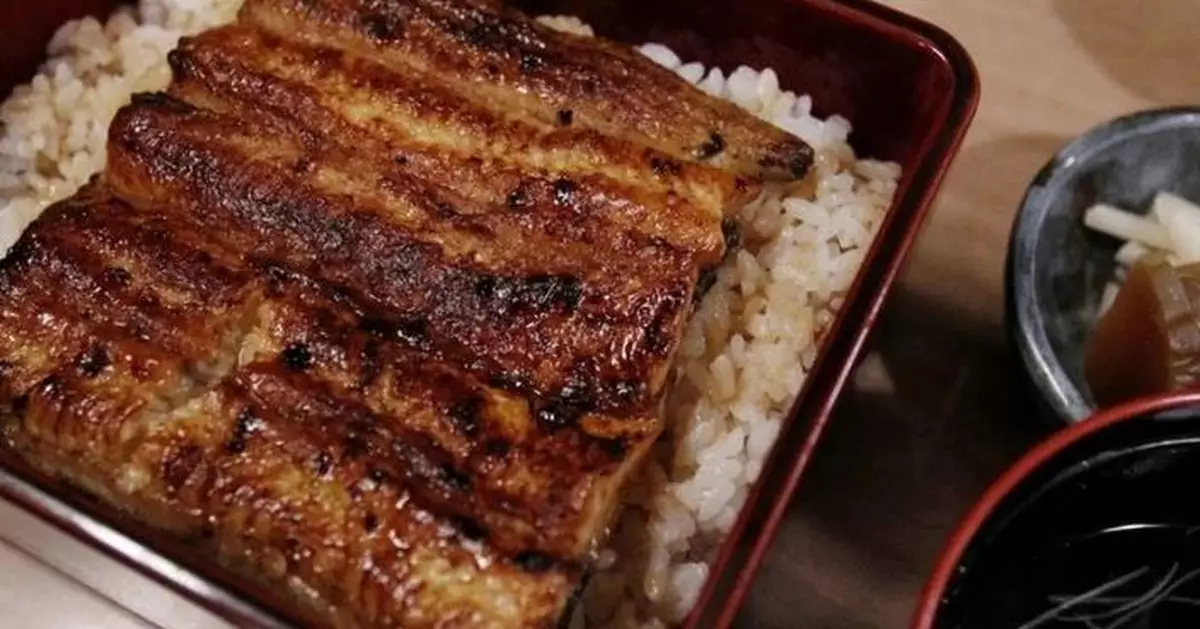 歐盟提案管制全球19種鰻魚貿易  或衝擊蒲燒鰻供應  日本急反對