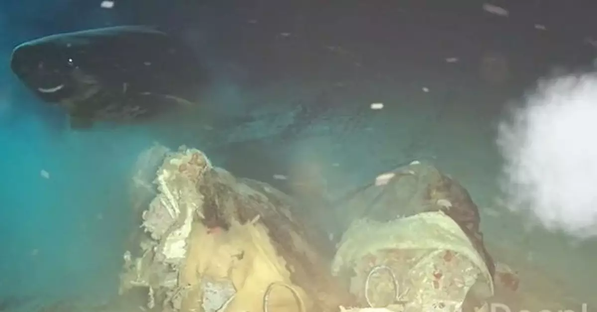 科學家意外影到「太平洋睡鯊」南海現蹤 揭進食識排隊不會爭搶