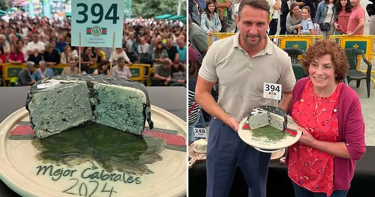 洞穴中陳化10個月 西班牙芝士拍賣以33萬成交全球最貴