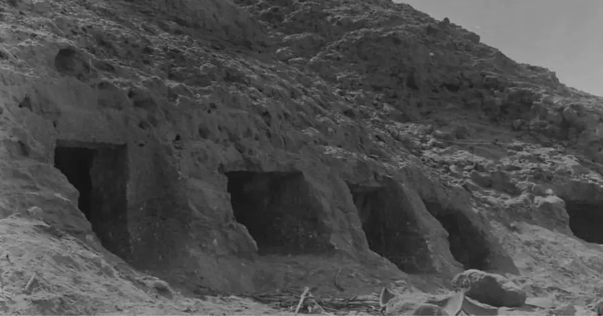 5000年基因密碼解鎖！古埃及木乃伊驚現美索不達米亞及北非血統