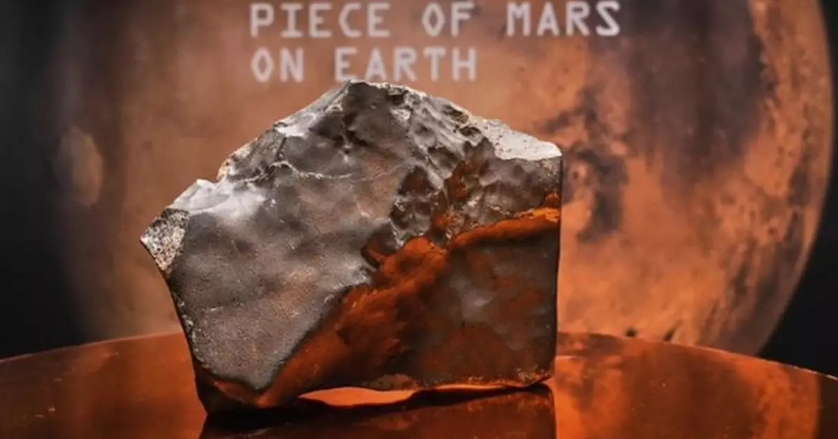 天價成交！地球最大火星隕石430萬美元落槌 蘇富比：比中樂透還難得