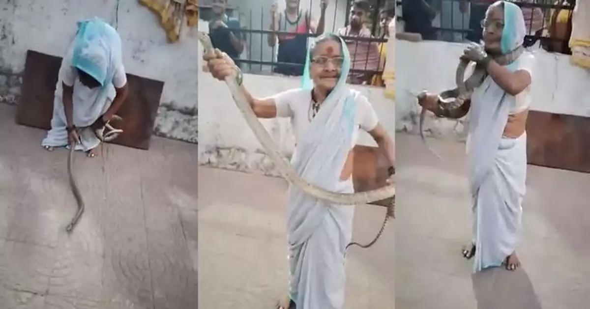 看見蛇勿驚慌 大膽印度老太太示範如何捉蛇還掛上頸