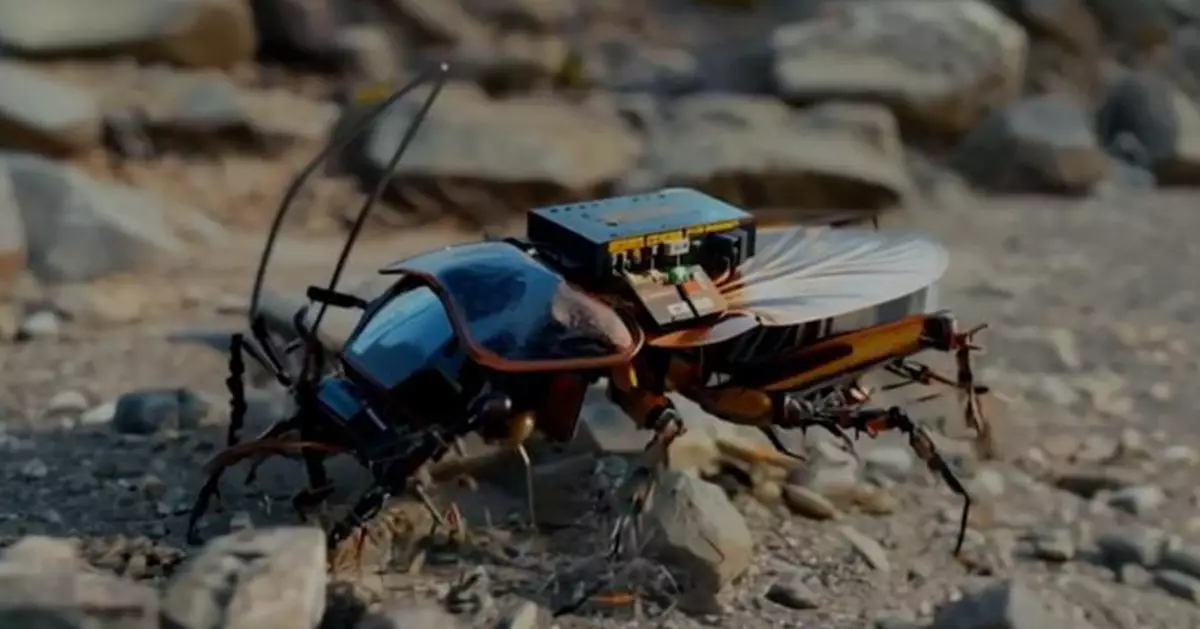 未來戰爭新兵種？德國「機械小強軍團」問世  AI控制、無聲潛行