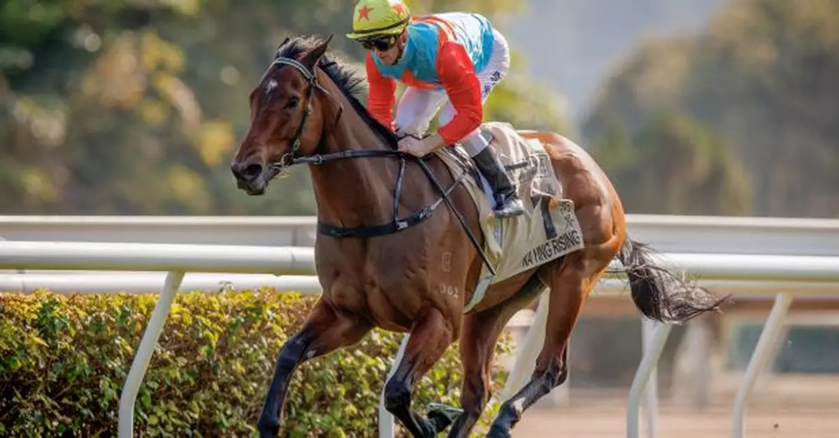 「嘉應高昇」榮登香港馬王　「浪漫勇士」四度榮膺最佳中距離馬