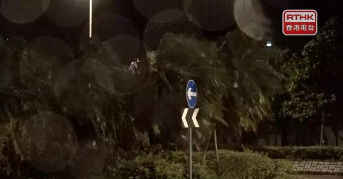 風暴消息｜截至早上5時3宗塌樹　暫未有市民風暴期間受傷報告