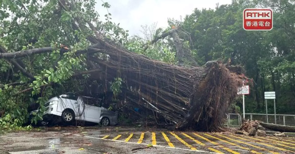 風暴消息｜梁榮武稱韋帕風力較蘇拉及山竹弱但仍有需要發十號信號
