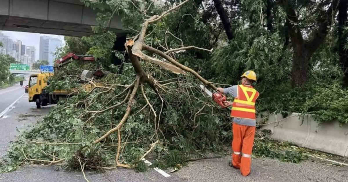 風暴消息｜近6百宗道路事故　路政署加緊清理目標明早可正常行車