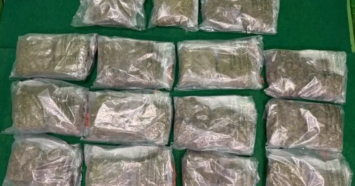 海關機場偵破行李藏毒案檢14公斤大麻花拘捕曼谷抵港男子