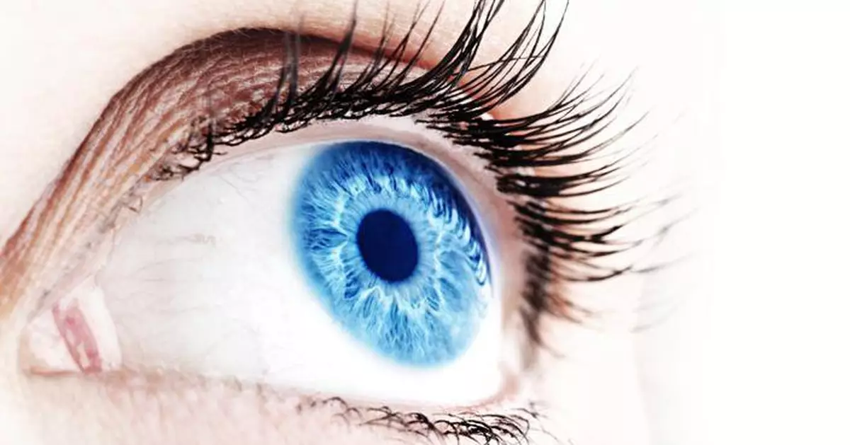 成日睇手機眼矇矇？營養師教「3餐護眼法」補足營養助重拾清晰視力