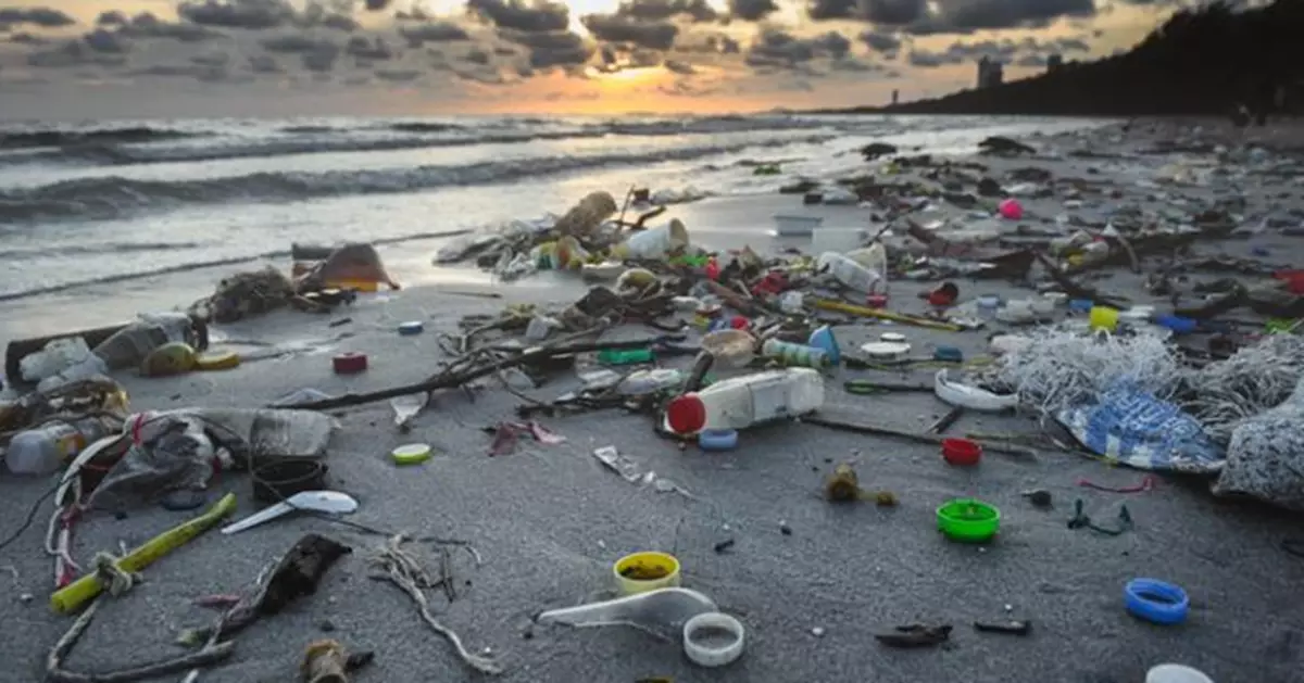 最新報告：全球塑膠污染年損1.5萬億美元 健康危機持續惡化