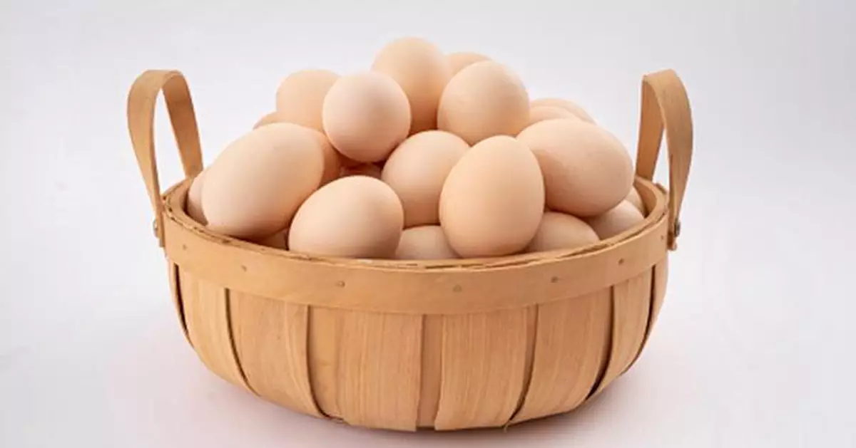雞蛋獲認證「全營養食物」護心腦明眼抗衰老 專家建議1煮法最健康