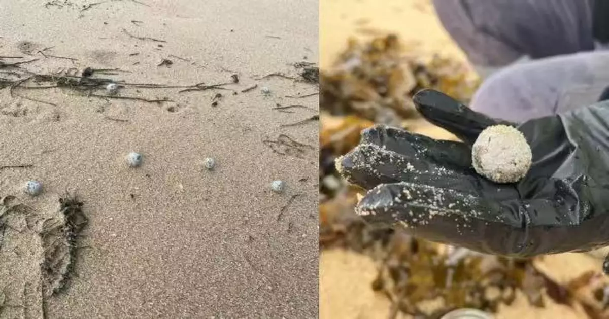 澳海灘現蹤神秘「灰色球體」 當局正檢驗成分籲市民勿觸碰