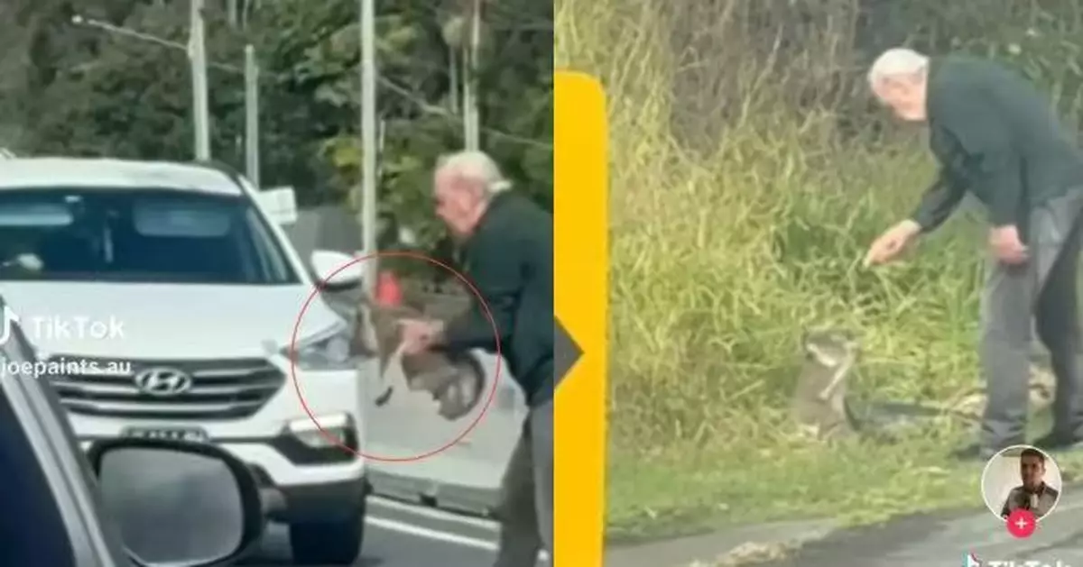 見樹熊闖車道 澳8旬翁邊救邊「訓話」似教導奀皮孫溫馨又好笑