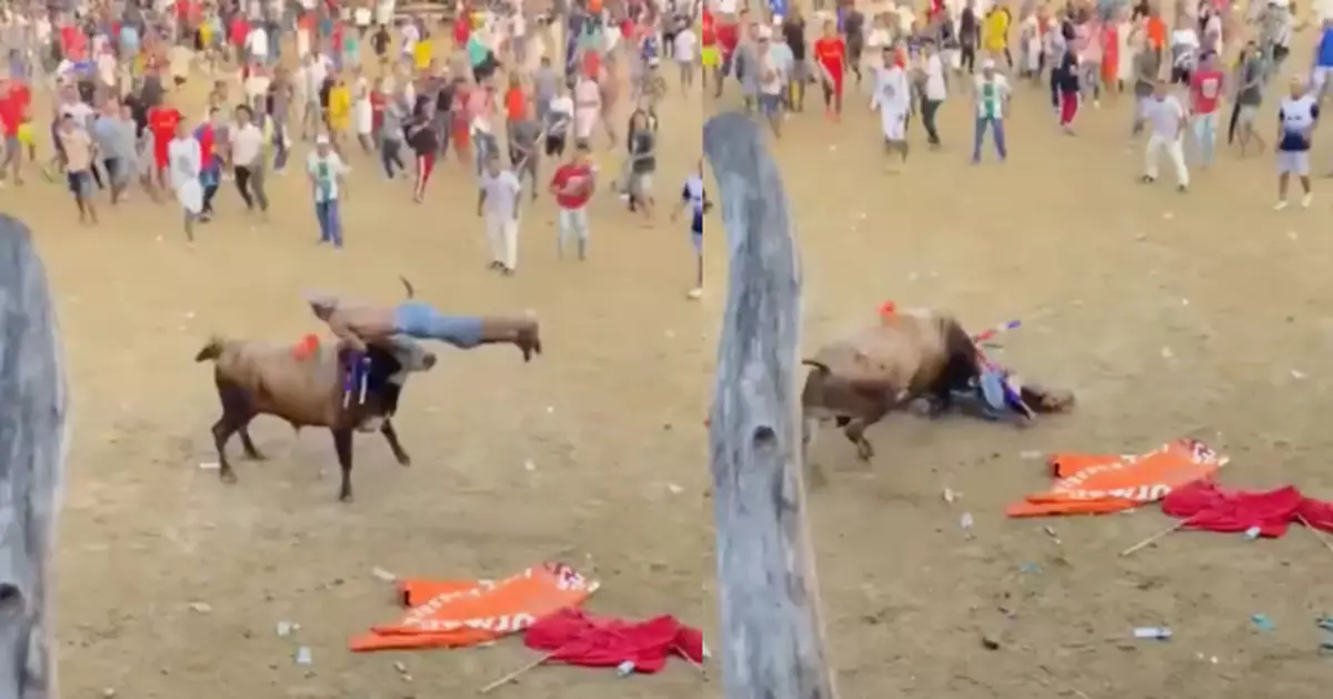 挑戰「躍牛」失手 哥倫比亞鬥牛士遭暴怒公牛頂飛衝撞重傷不治